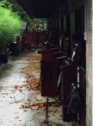2013_10_27_006_rando_maisons_laffitte