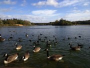 2013_10_27_012_rando_maisons_laffitte_etang_du_carro