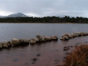 2006_04_14_006_ecosse