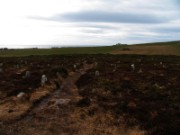 2006_04_15_012_ecosse_the_hill_o'many_stanes