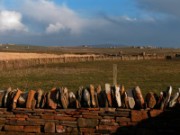 2006_04_16_052_ecosse_orcades