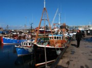 2006_04_17_034_ecosse_orcades_stromness