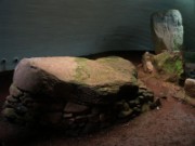 2006_04_20_005_ecosse_cairnpapple