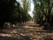 2007_04_16_037_provence_arles_les_alyscamps