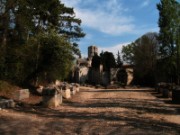 2007_04_16_038_provence_arles_les_alyscamps_st_honorat