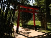 2007_04_19_033_anduze_bambouseraie