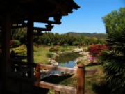 2007_04_19_036_anduze_bambouseraie