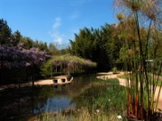 2007_04_19_046_anduze_bambouseraie