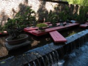 2007_04_19_050_anduze_bambouseraie