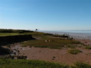 2007_08_04_022_medoc_phare_richard