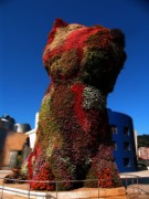 2007_08_11_025_espagne_bilbao_musee_guggenheim