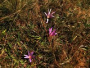 2007_08_14_015_espagne