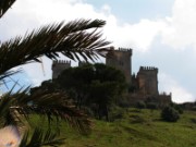 2008_02_28_025_andalousie_chateau_d_almodovar_del_rio
