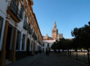 2008_02_29_120_andalousie_seville_real_alcazar
