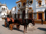 2008_03_01_003_andalousie_seville_la_maestranza