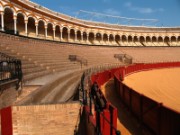2008_03_01_004_andalousie_seville_la_maestranza