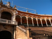 2008_03_01_008_andalousie_seville_la_maestranza