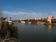2008_03_01_033_andalousie_seville_bords_guadalquivir