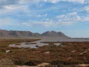 2008_03_05_020_andalousie_le cabo_de_gata