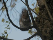 2008_04_22_090_londres_kensington_gardens