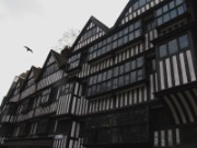 2008_04_25_036_londres_stapple_inn