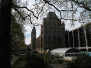 2008_04_26_032_londres_natural_history_museum