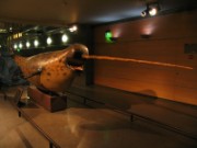 2008_05_02_014_mnhn_expo_abysses