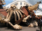 2008_07_14_024_brest_2008