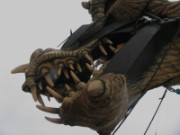 2008_07_14_027_brest_2008