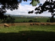 2008_08_13_015_vac_puy_aix_rando_montpeyroux