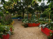 2008_08_23_003_vac_puy_aix_nexon_jardin_des_sens