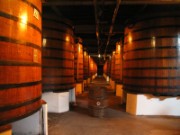 2008_08_26_019_vac_puy_aix_cognac_martell