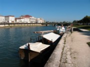 2008_08_27_012_vac_puy_aix_saintes