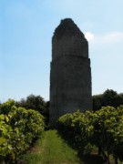 2008_08_27_041_vac_puy_aix_tour_de_pirelonge