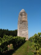2008_08_27_042_vac_puy_aix_tour_de_pirelonge