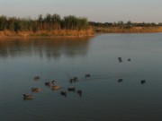 2008_08_27_064_vac_puy_aix_rochefort_camping