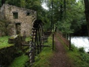 2008_08_8_019_vac_puy_aix_thiers_vallee_des_rouets