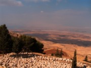 2008_10_27_032_jordanie__mont_nebo