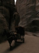 2008_10_28_240_jordanie_petra_le_siq
