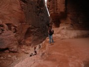2008_10_29_015_jordanie__petra