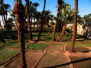 2008_10_30_071_jordanie_aqaba