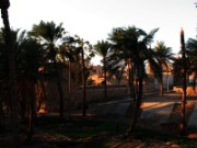 2008_10_30_109_jordanie_aqaba