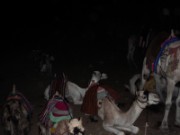 2008_11_01_002_egypte_mont_sinai