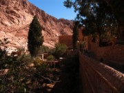 2008_11_01_058_egypte_monastere_ste_catherine