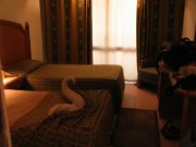 2008_11_01_063_egypte