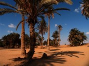 2008_11_02_032_egypte_eyoun_moussa