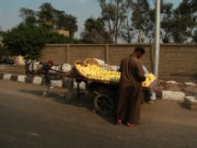 2008_11_03_045_egypte_le_caire