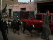 2008_11_03_046_egypte_le_caire