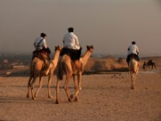 2008_11_03_102_le_caire_gizeh_pyramides