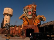 2008_11_04_001_egypte_route_vers_alexandrie